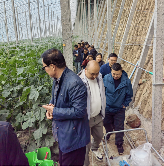 賦能農(nóng)業(yè)合作社，護(hù)航舌尖安全——贊華集團(tuán)助力許昌建安區(qū)農(nóng)產(chǎn)品質(zhì)量提升培訓(xùn)項(xiàng)目圓滿(mǎn)結(jié)班