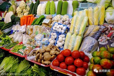 高明首座農產品快檢室投用，織密餐桌安全防護網